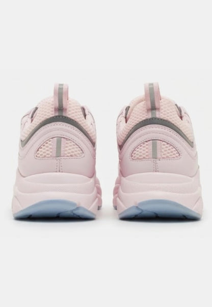 B22 Rosa