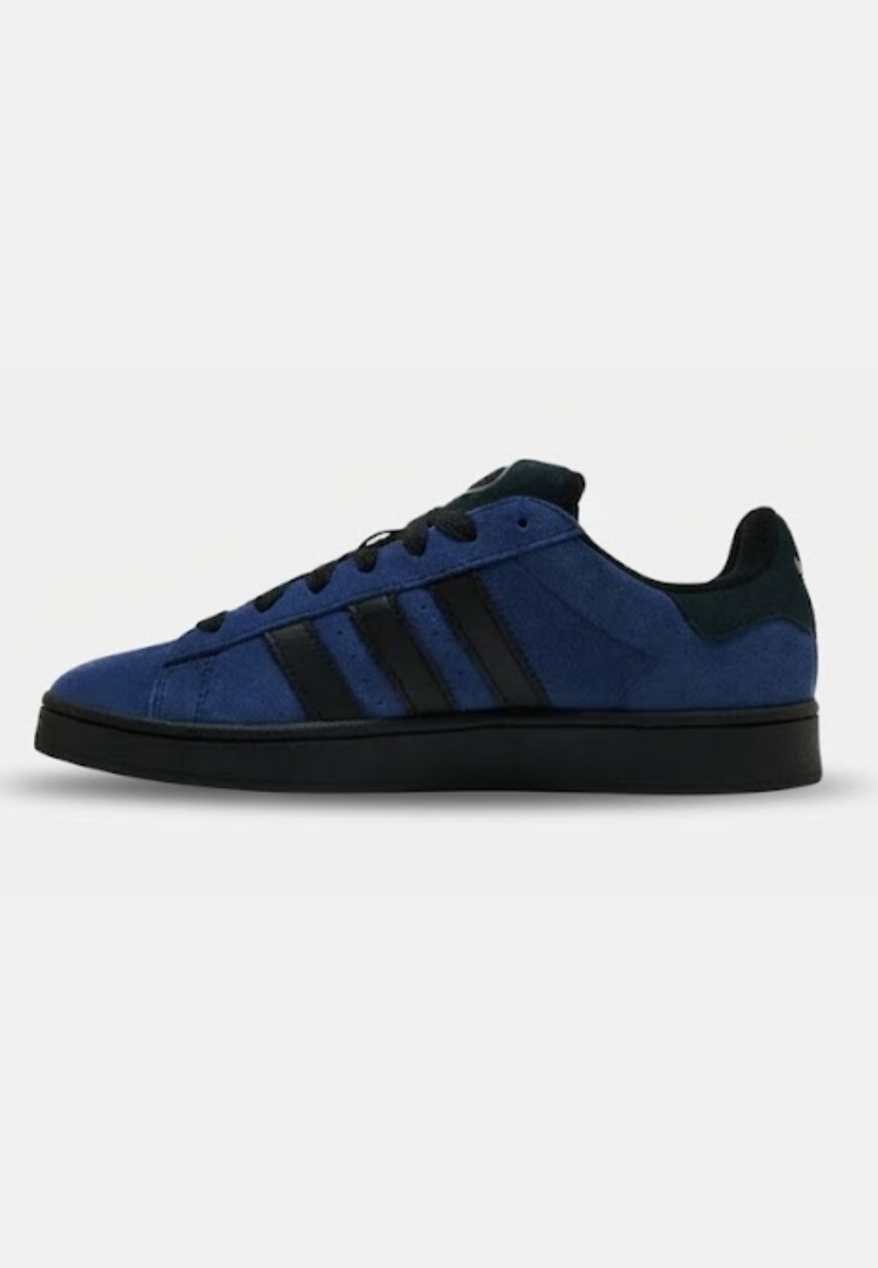 Campus Blue e Nere